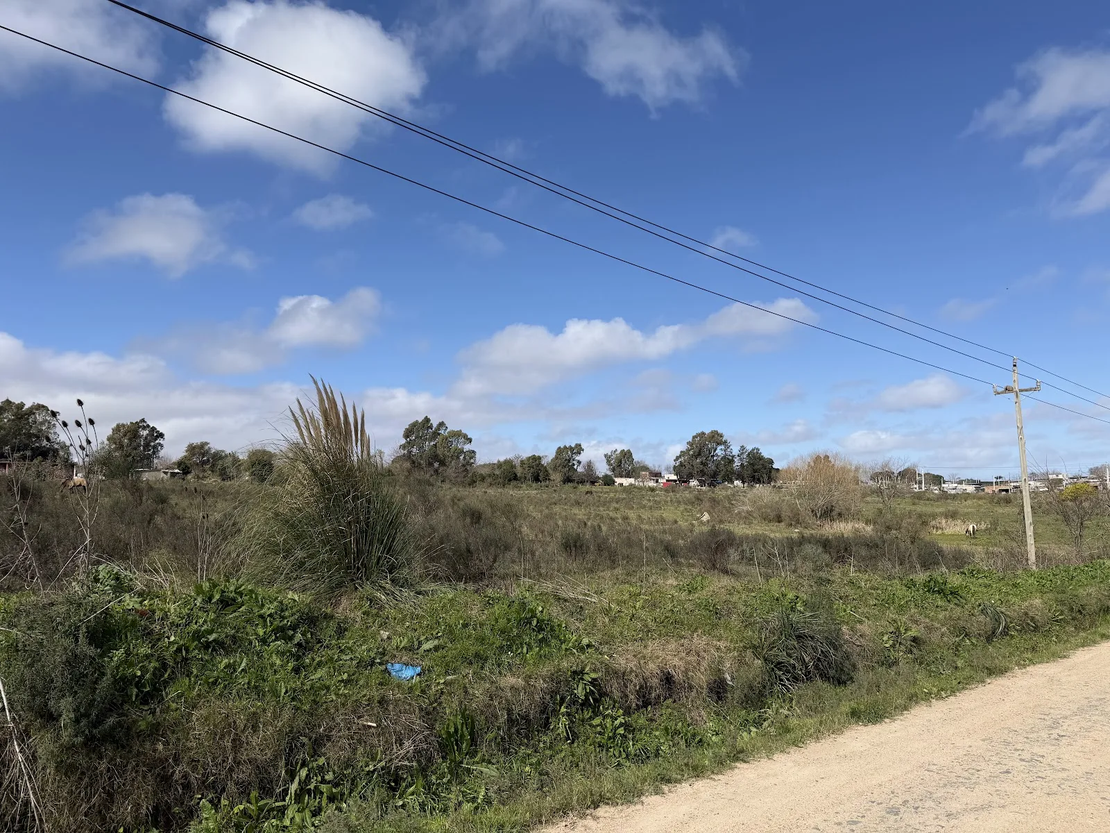 Alquiler - Terreno - Colonia Nicolich - Canelones (11)