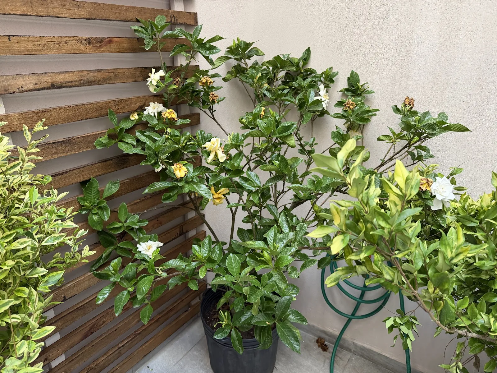 Venta - Casa PH con Garaje - Pocitos Nuevo - 2 Dormitorios (20)