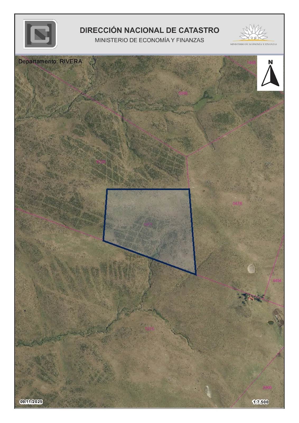 Venta - Campo - Chacra - Minas de Corrales - Rivera (3)
