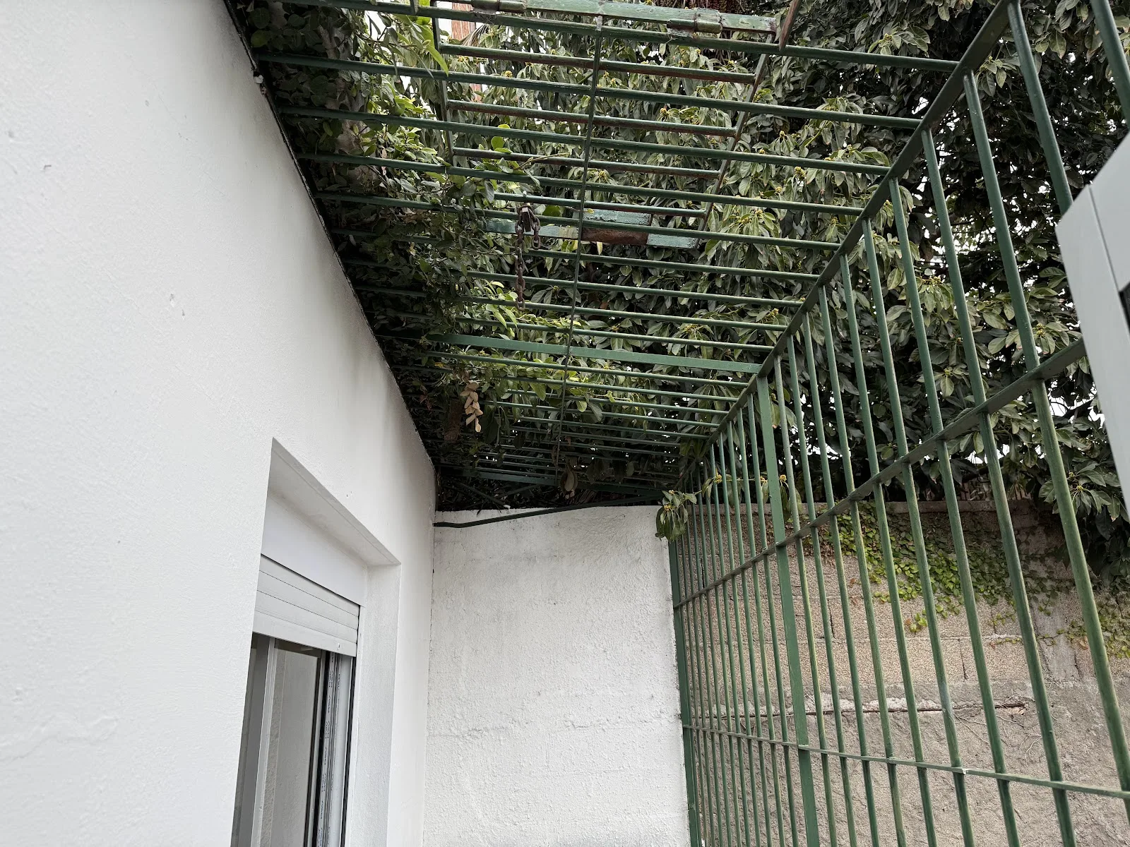 Alquiler - Apartamento - La Blanqueada - 1 Dormitorio (15)