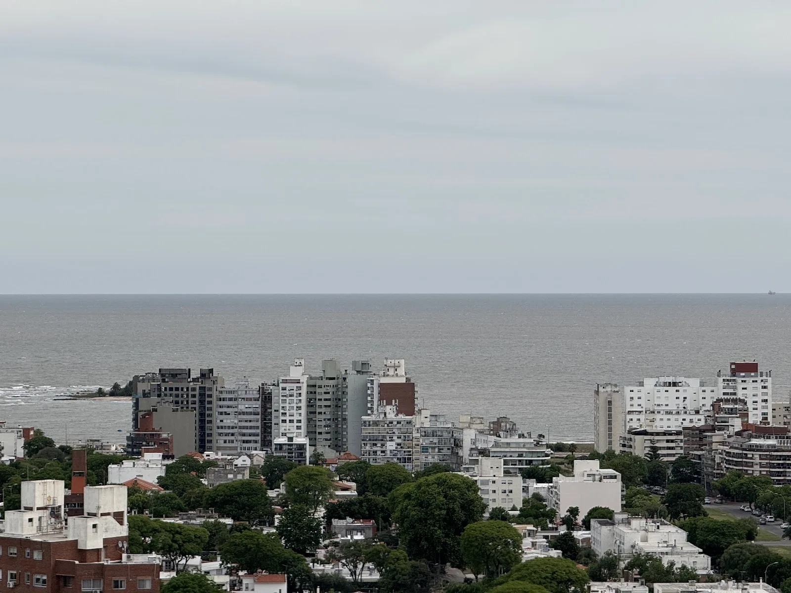 Alquiler - Apartamento - Malvín - Monoambiente (72)