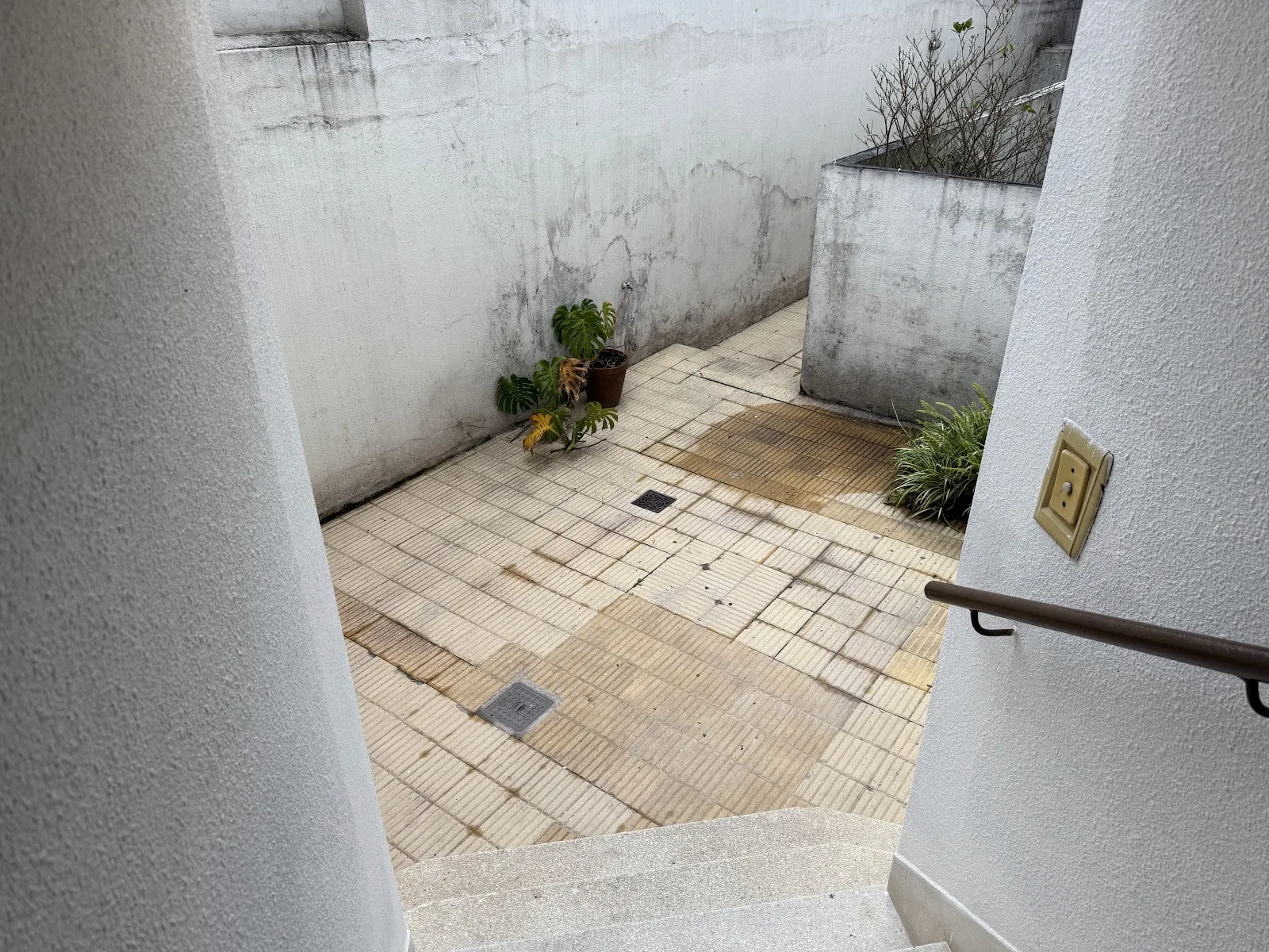 Alquiler - Apartamento - La Blanqueada - 1 Dormitorio (33)