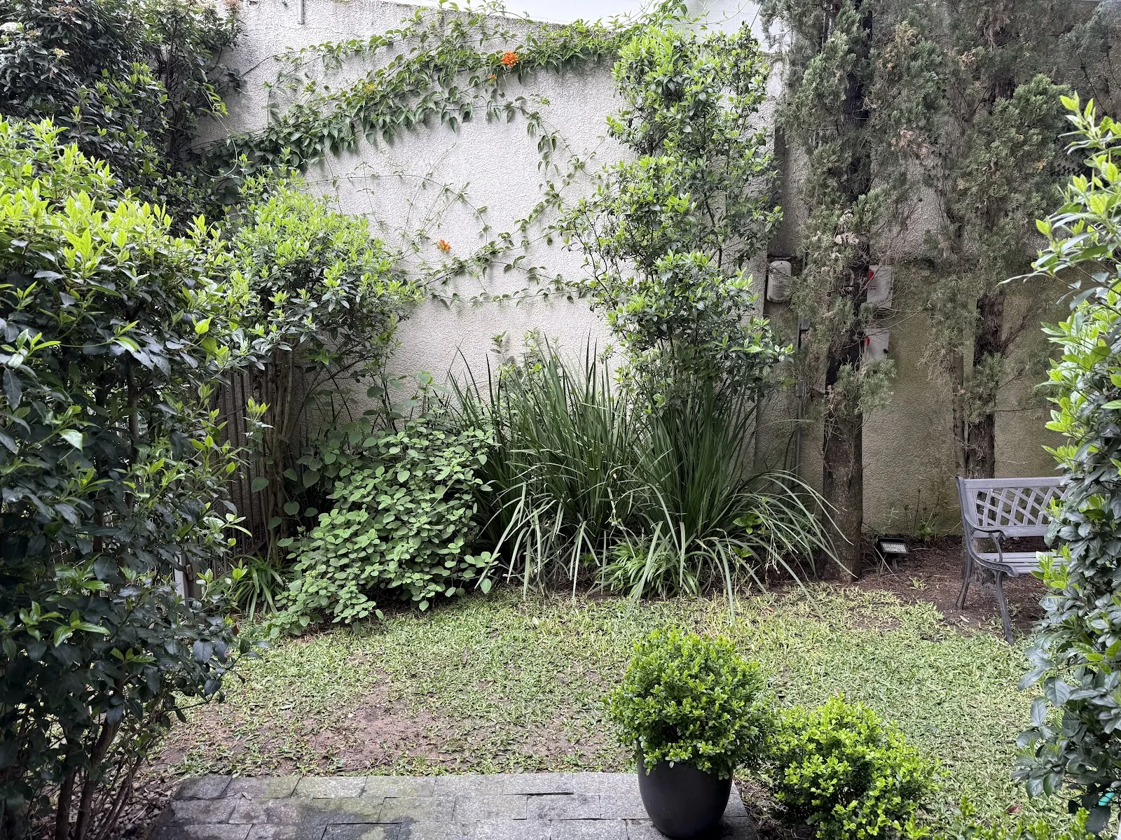 Venta - Apartamento - Carrasco - 1 Dormitorio (31)