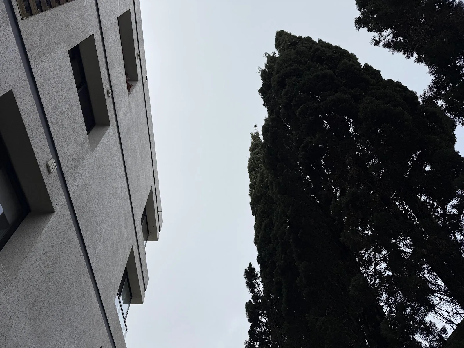 Venta - Apartamento - Carrasco - 1 Dormitorio (36)