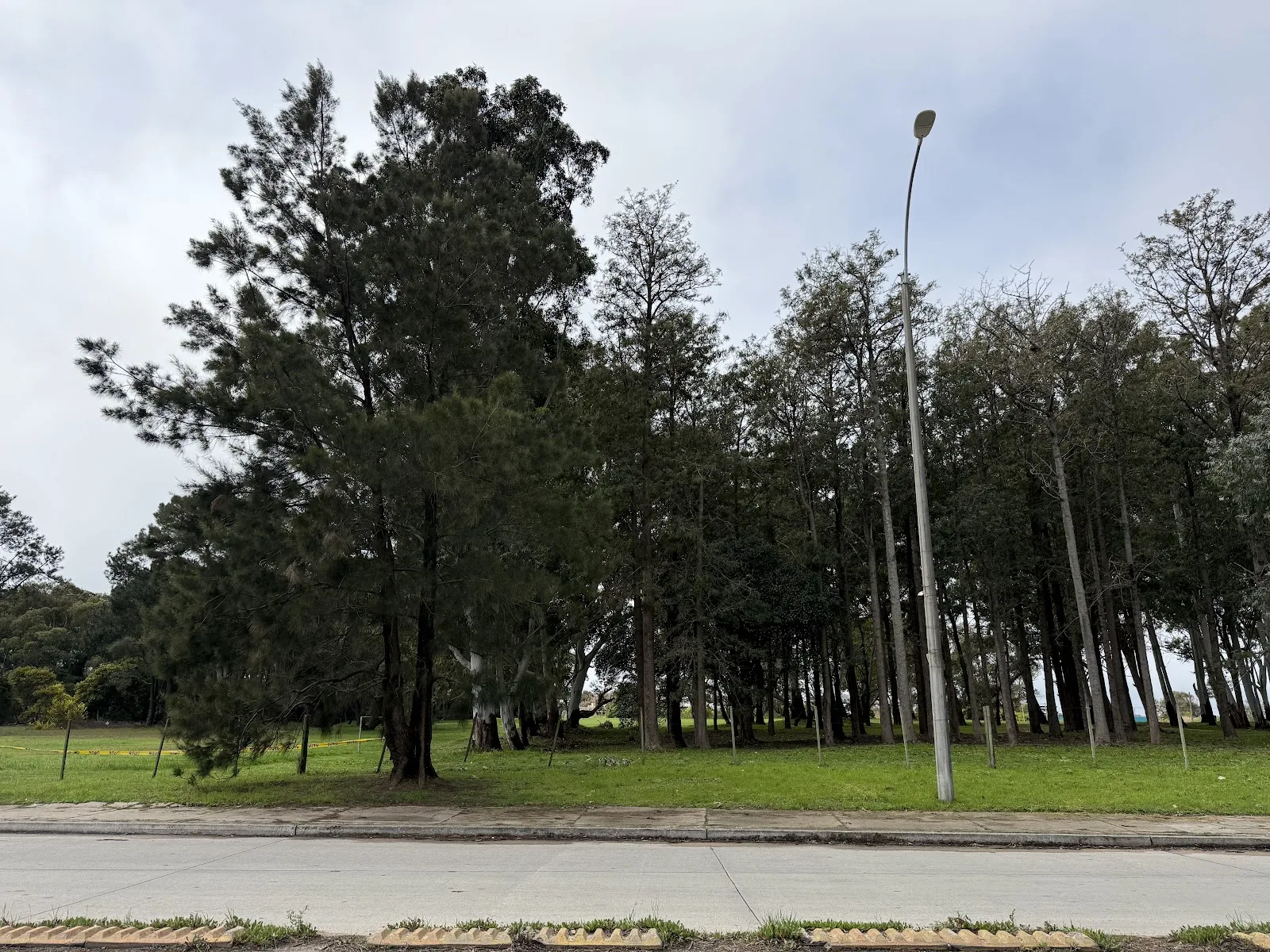 Venta - Apartamento - Carrasco - 1 Dormitorio (43)